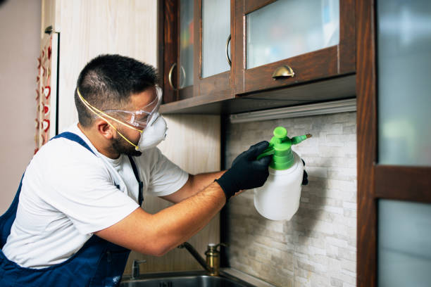 Best Insect Control  in Bethany, MO
