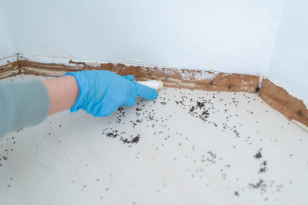 Pest Control for Restaurants in Bethany, MO