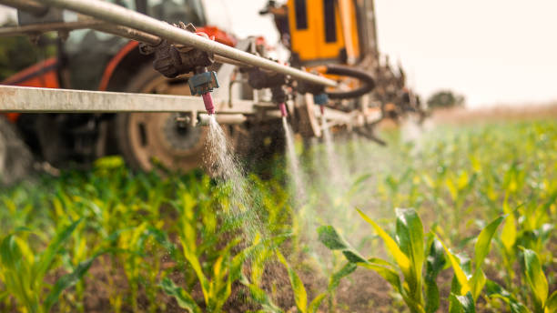 Best Pest Control Cost  in Bethany, MO